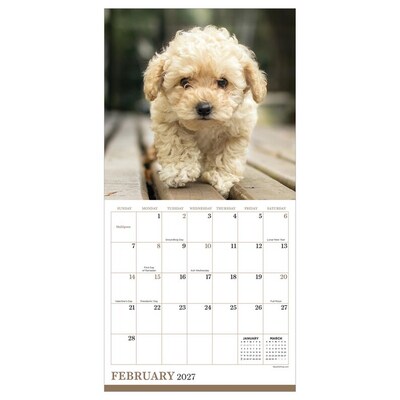 2027 TF Publishing Puppies 7" x 7" Monthly Wall Calendar, Multicolored (27-2007)
