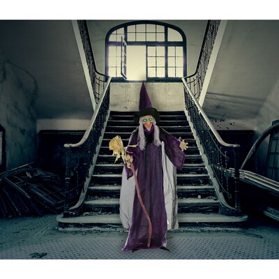 Haunted Hill Farm Life-Size Animatronic Witch with Broomstick (HHWITCH-5FLSA)