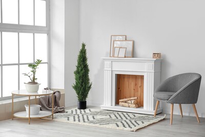 Forever Leaf 60" Cedar Boxwood in Black Pot, 2/Pack (FEV-2PBOX60)