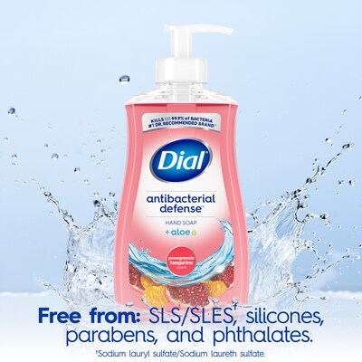 Dial Complete Antibacterial Liquid Hand Soap, Pomegranate Tangerine Scent (00017000209432)