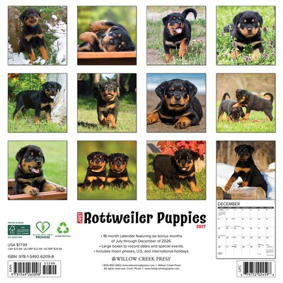 2027 Willow Creek Rottweiler Puppies 12 x 12 Monthly Wall Calendar, Assorted Colors (62098)