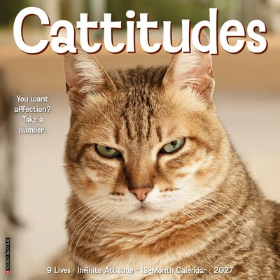 2027 Willow Creek Cattitudes 12 x 12 Monthly Wall Calendar, Assorted Colors (59609)