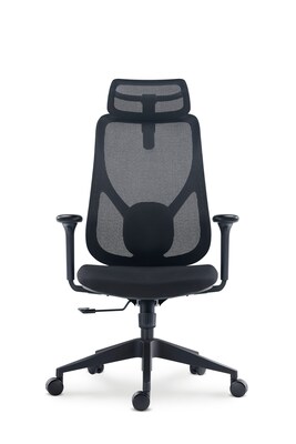 Raynor Group Torque Ergonomic Fabric/Mesh Swivel Manager Chair, Black (TORQUE-BF-BLK)