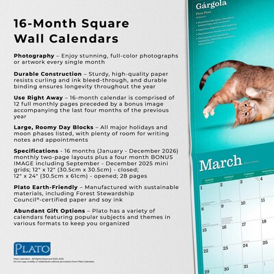 2026 Plato Yoga Cats Together 12" x 12" Monthly Wall Calendar (9798330701926)