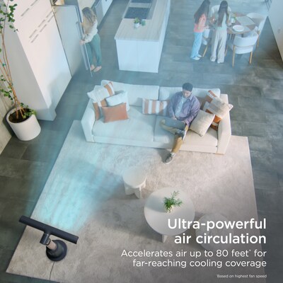 Shark TurboBlade Oscillating Floor Fan, 10 Speed, Charcoal (TF202S)