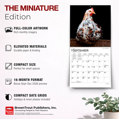 2027 BrownTrout Chickens 7" x 7" Monthly Wall Calendar, Assorted Colors (9798330709786)