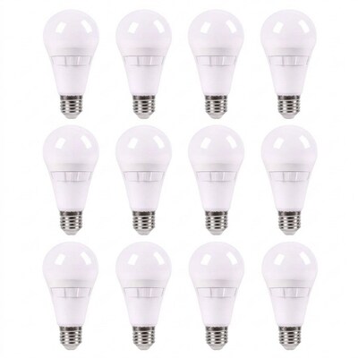 Viribright 6 Watts Warm White LED Household Bulb, 12/Box (CCT-450105-12)