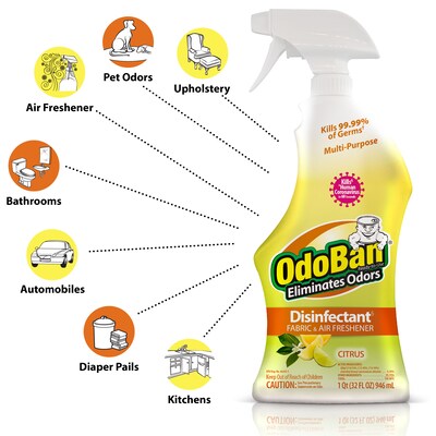 OdoBan Air Freshener & Deodorizer Spray, Citrus Scent, 32 oz. (910601-Q6)