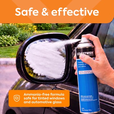 Coastwide Professional Foaming Glass Cleaner, Fresh & Clean Scent, 19 Oz., 6/Carton