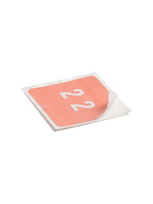 Smead DCC Color-Coded Numeric Label, 2, Label Roll, Pink, 250 labels per Roll (67422)