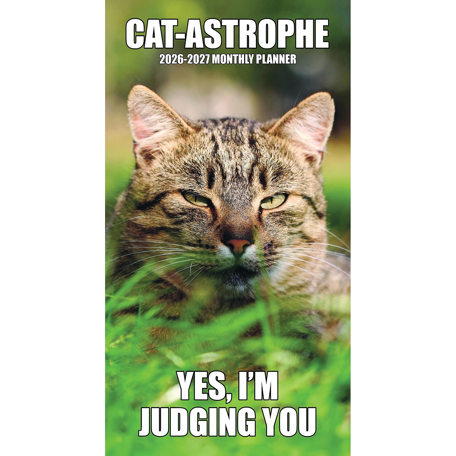 2026-2027 Willow Creek Cat-astrophe 3.5 x 6.5 Monthly Planner, Paperboard Cover (56509)