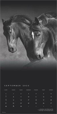2025 BrownTrout Portrait Series: The Noble Horse 12" x 12" Monthly Wall Calendar (9781975477158)