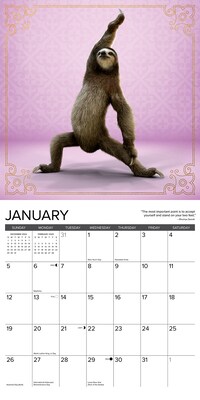 2025 Willow Creek Sloth Yoga 12" x 12" Monthly Wall Calendar (44940)