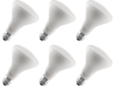 Viribright 9-Watt Soft White LED Floodlight Bulb, 6/Box (450124-ES)