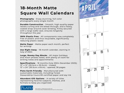 2024-2025 Plato Large Print 12" x 12" Academic & Calendar Monthly Wall Calendar (9781975481407)