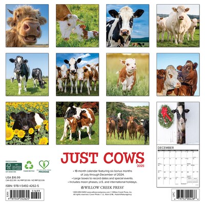 2025 Willow Creek Just Cows 12 x 12 Monthly Wall Calendar (42625)