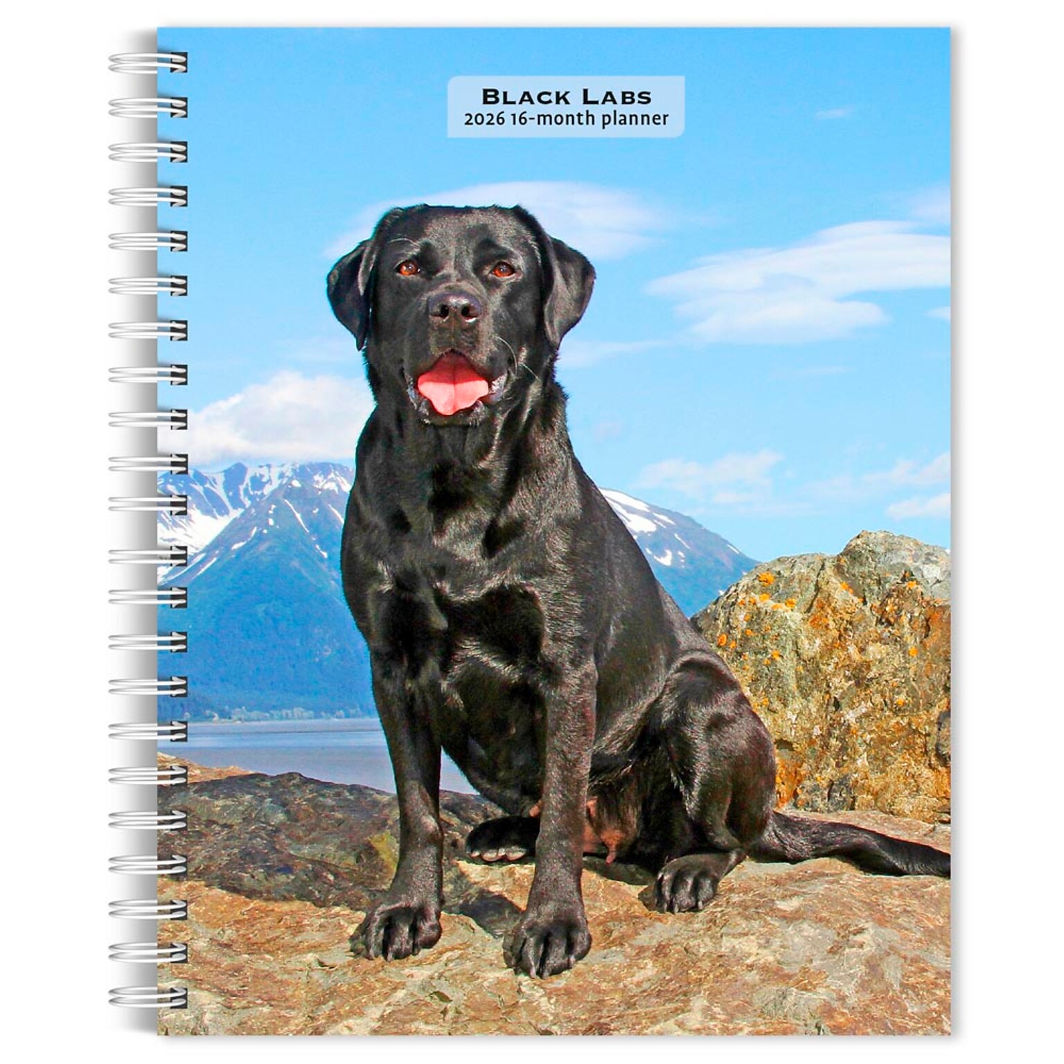 2026 BrownTrout Black Labrador Retrievers 6.5 x 7.75 Weekly Planner (9798330704231)