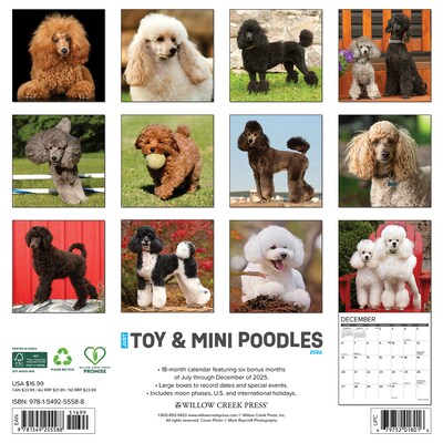 2026 Willow Creek Toy & Miniature Poodles 12 x 12 Monthly Wall Calendar (55588)