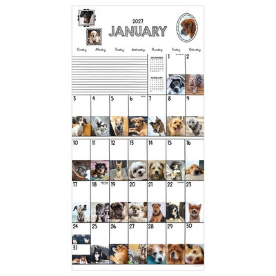 2027 TF Publishing Dog-A-Day 11 x 12 Monthly Wall Calendar (27-1009)