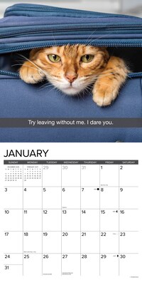 2027 Willow Creek Snapcats 12" x 12" Monthly Wall Calendar, Assorted Colors (62401)