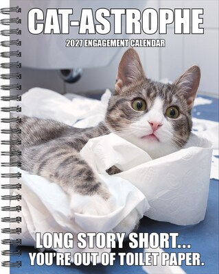 2027 Willow Creek Cat-astrophe 6.5 x 8.5 Weekly & Monthly Desk Calendar (64351)