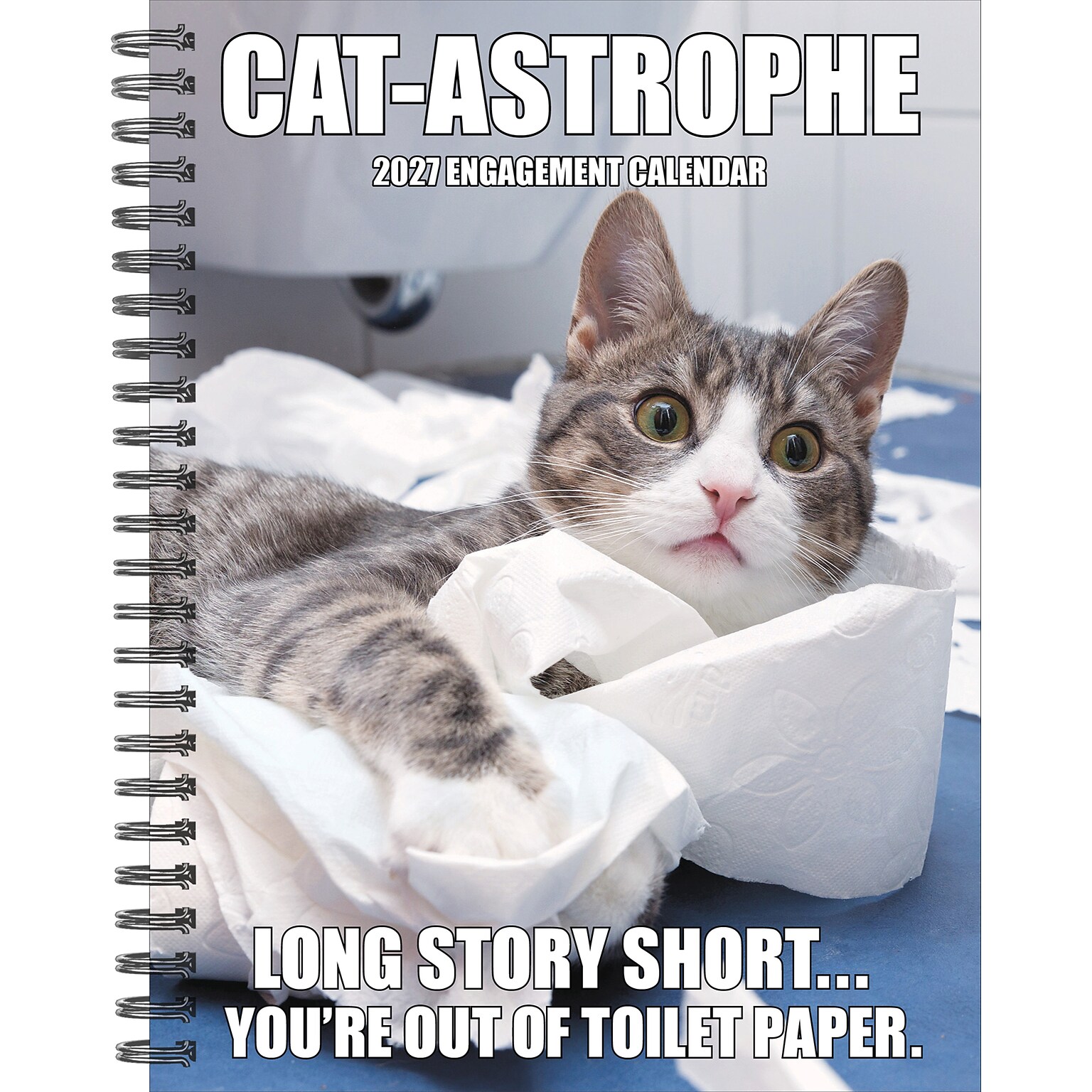 2027 Willow Creek Cat-astrophe 6.5 x 8.5 Weekly & Monthly Desk Calendar (64351)