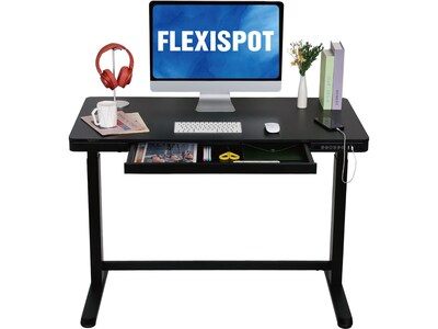 FlexiSpot EW8 48W Electric Adjustable Standing Desk, Black (EW8B)