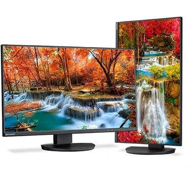 Sharp MultiSync 27 FHD IPS 75Hz Desktop Monitor, Built-In Speaker, Height Adjustable, Black (DD-EA272F)