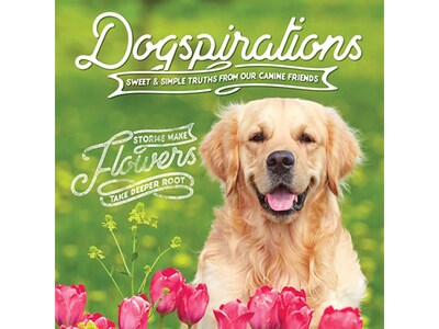 Willow Creek Dogspirations, Chapter Book, Hardcover (48406)