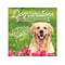 Willow Creek Dogspirations, Chapter Book, Hardcover (48406)