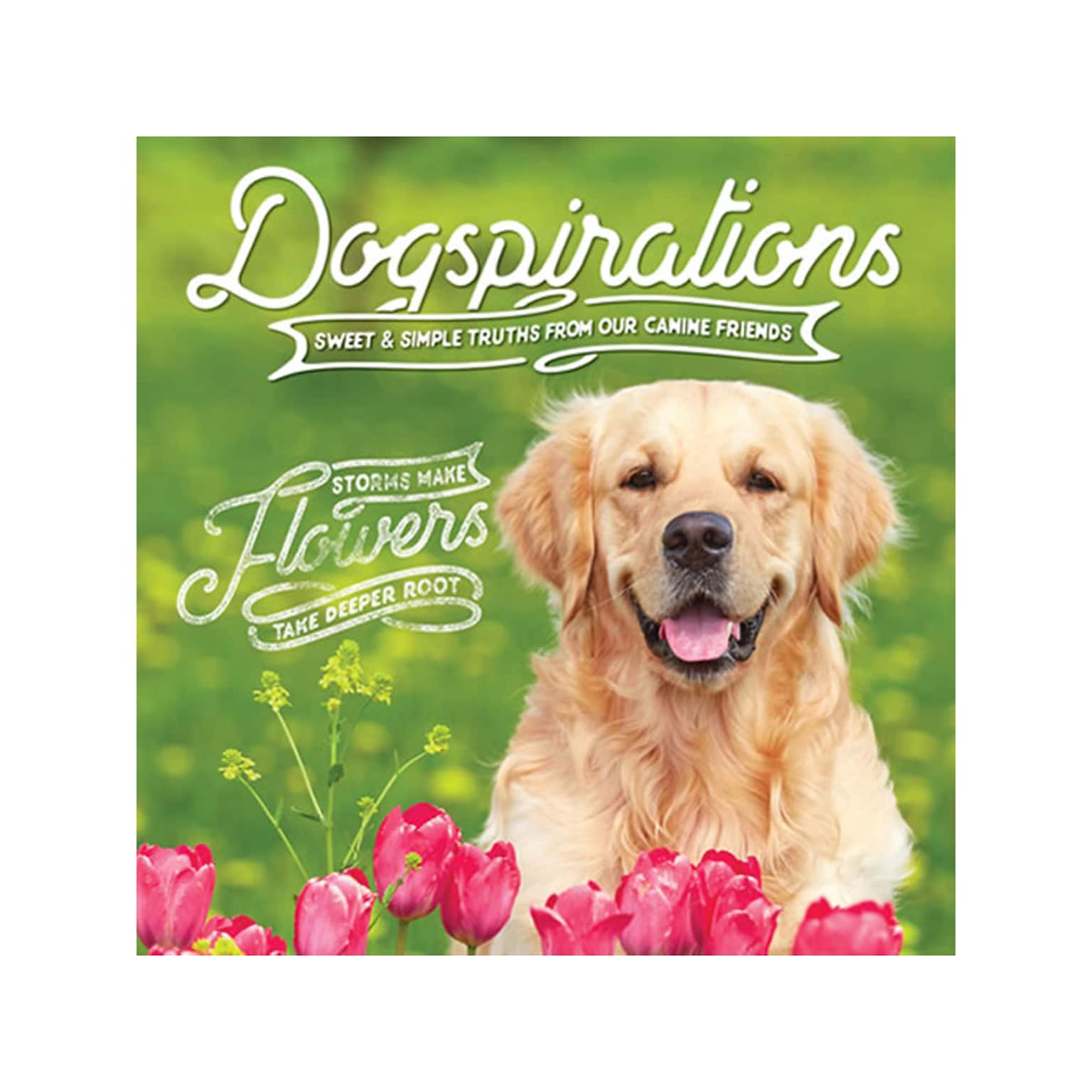 Willow Creek Dogspirations, Chapter Book, Hardcover (48406)