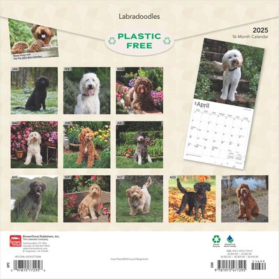 2025 BrownTrout Labradoodles 12 x 24 Monthly Square Wall Calendar, (9781975477295)