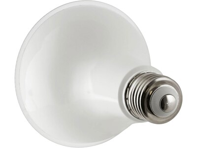 Viribright 10-Watts Cool White LED Floodlight Bulb, 6/Box (450154-ES)