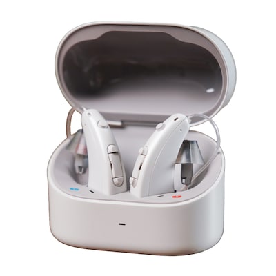 Zepp Clarity Omni Hearing Aids, Gray (E2317OV2N)