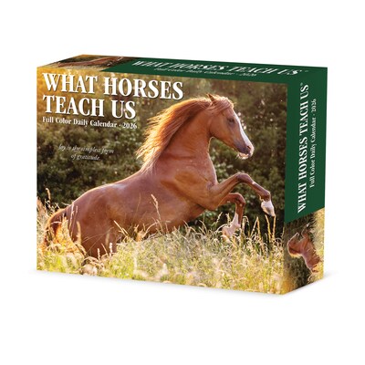2026 Willow Creek What Horses Teach Us 6.2" x 5.4" Day-to-Day Calendar (54529)