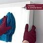 FifthPulse Powder Free Nitrile Gloves, Latex Free, Large, Burgundy, 100/Box (FMN100216)