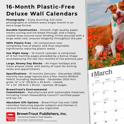 2026 BrownTrout American Pit Bull Terriers 14" x 12" Monthly Wall Calendar (9798330707867)