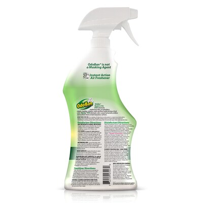 OdoBan Air Freshener & Deodorizer Spray, Original Eucalyptus Scent, 32 oz. (910061-Q6)