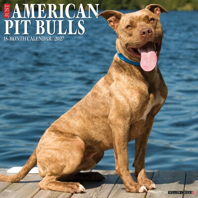 2027 Willow Creek American Pit Bull Terriers 12 x 12 Monthly Wall Calendar, Assorted Colors (58756)