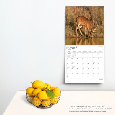 2024 BrownTrout Texas Nature 12" x 24" Monthly Wall Calendar (9781975465308)