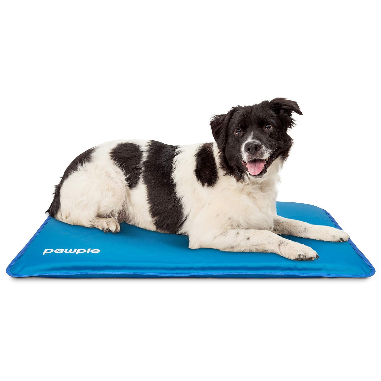 Pawple Dog Cooling Bed Mat for Kennels, Crates and Beds w/ Thick Foam Base, 32 x 22, Blue (PAWCLPD35)
