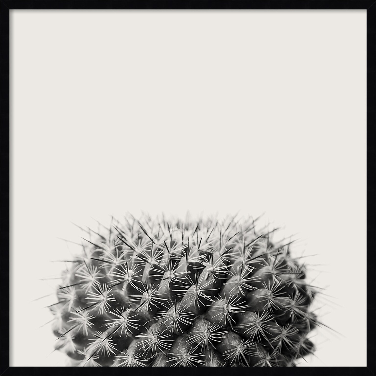 Amanti Art Haze Cactus Succulent by The Creative Bunch Studio Wood Framed Wall Art Print, 33 x 33 (A42675345780)