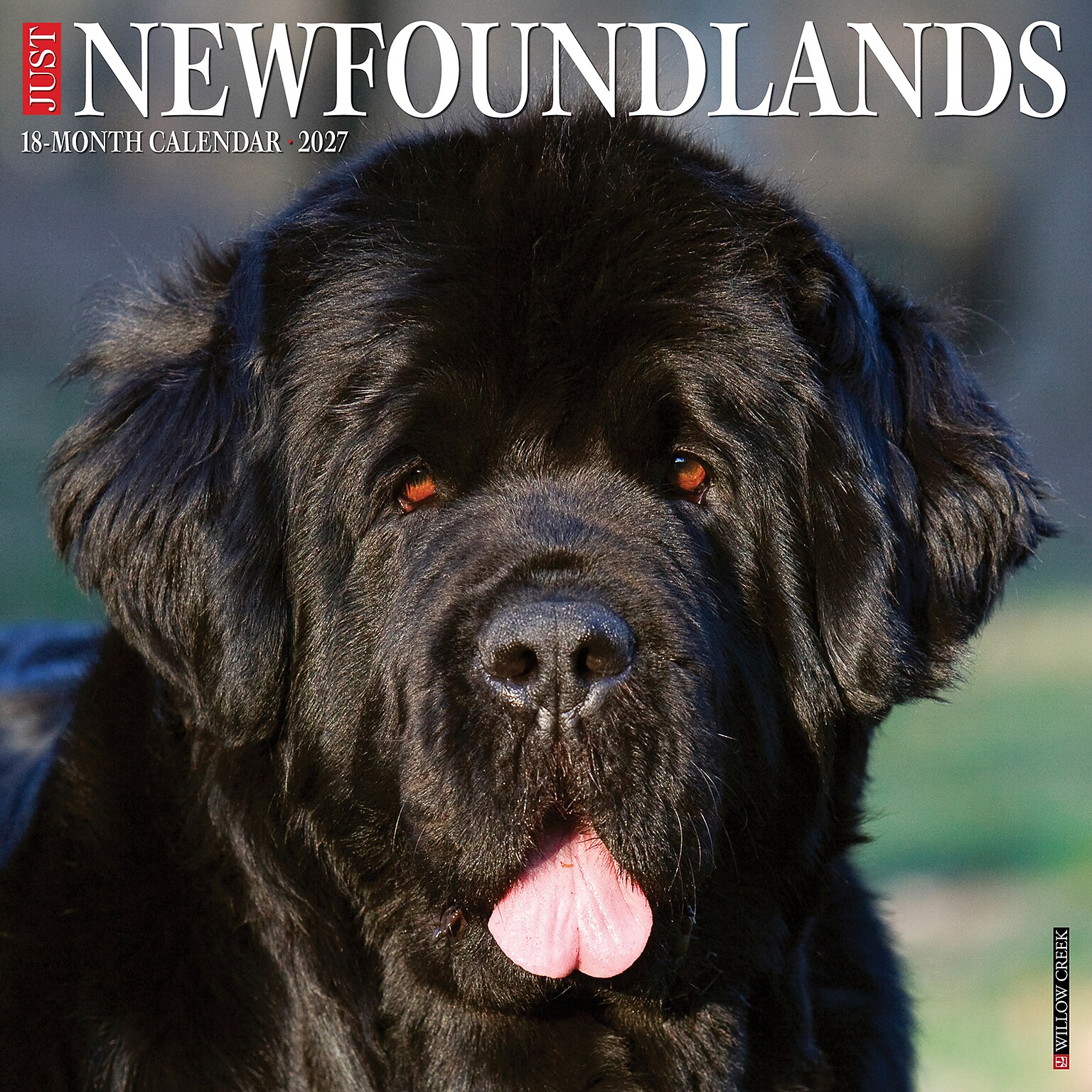 2027 Willow Creek Newfoundlands 12 x 12 Monthly Wall Calendar (61510)