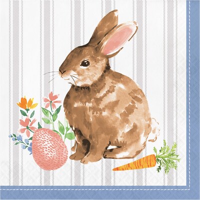 Creative Converting Cottage Easter Bunny Paper Plates and Napkins Kit, Serves 16 (DTC9199E2G)