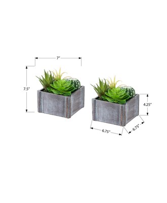 Monarch Specialties Inc. 8" Artificial Succulent Plant in Pot, 2/Set (I 9370)
