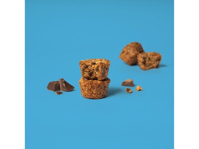 Bobo's Gluten-Free Chocolate Chip Oat Bite, 32.5 oz., 25 Bars/Box (120-75-D)