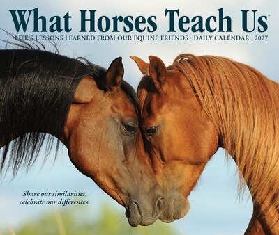 2027 Willow Creek What Horses Teach Us 5.4" x 6.2" Day-to-Day Calendar (63842)