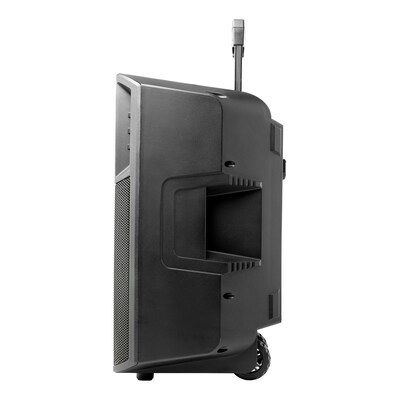 ION Power Glow 300 Wireless Bluetooth Portable Party System Speaker with Lights, Mic & Stereo-Link, Black (POWERGLOW300XUS)