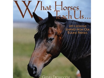 What Horses Teach Us, Chapter Book, Hardcover (5700)