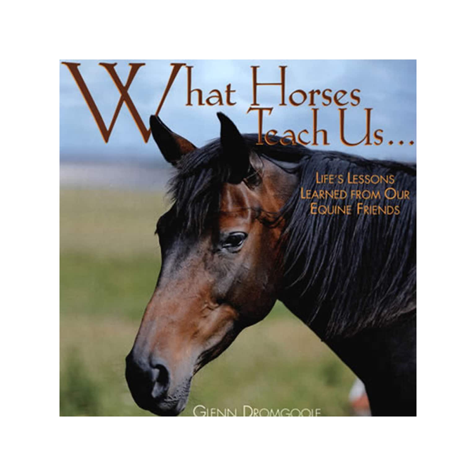What Horses Teach Us, Chapter Book, Hardcover (5700)